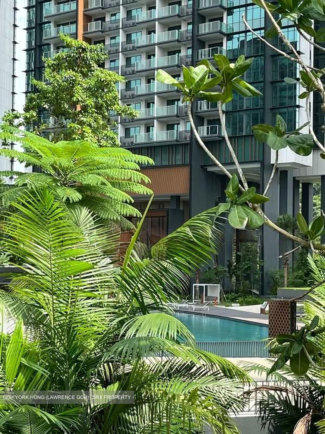 Normanton Park (D5), Apartment #574050541